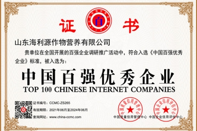 中国百强优秀企业
